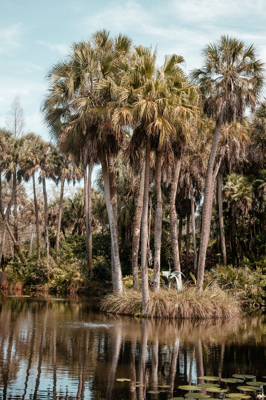 florida suit