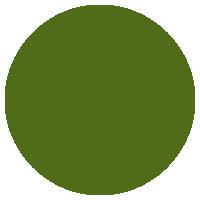 Olive suit color