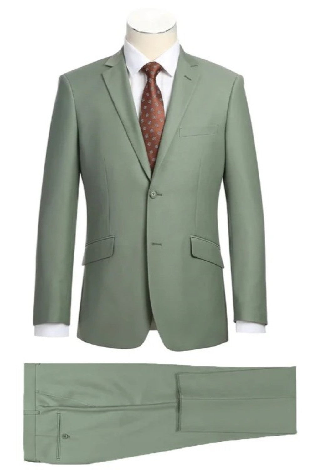 Vanderbilt Collection - Classic 2 Piece Suit 2 Buttons Regular Fit In Sage