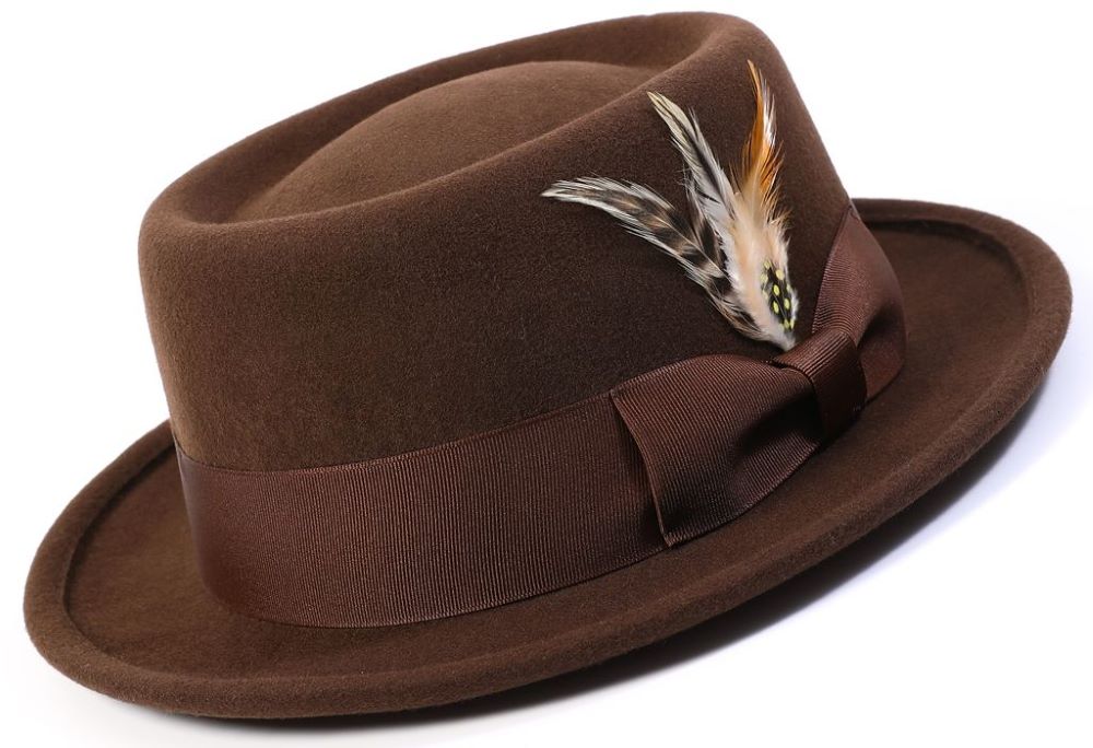 Brown Wide Brim Fedora with Feather Accents