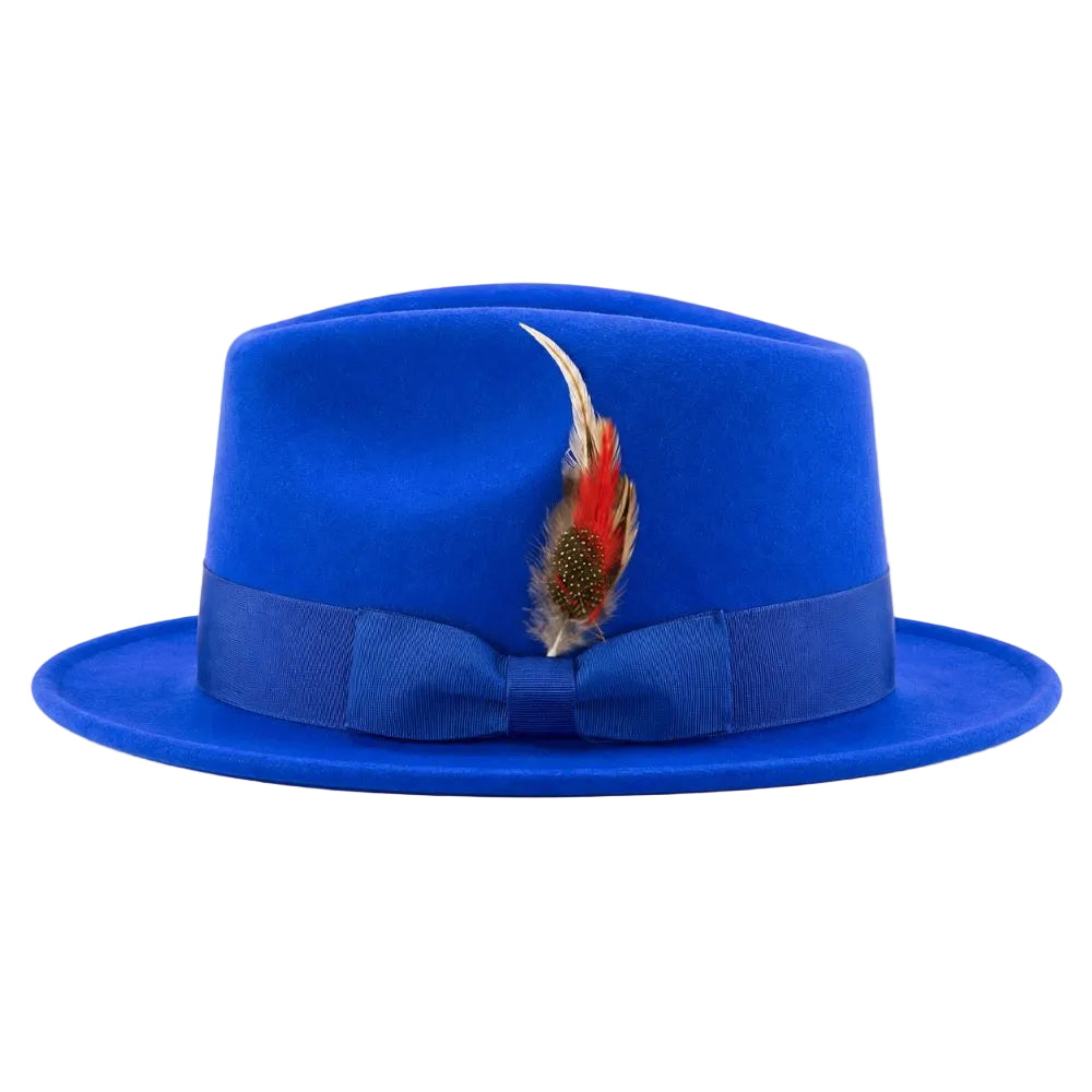A royal blue felt fedora hat with a matching blue ribbon band and bow, decorated with a red and brown feather, on a white background.