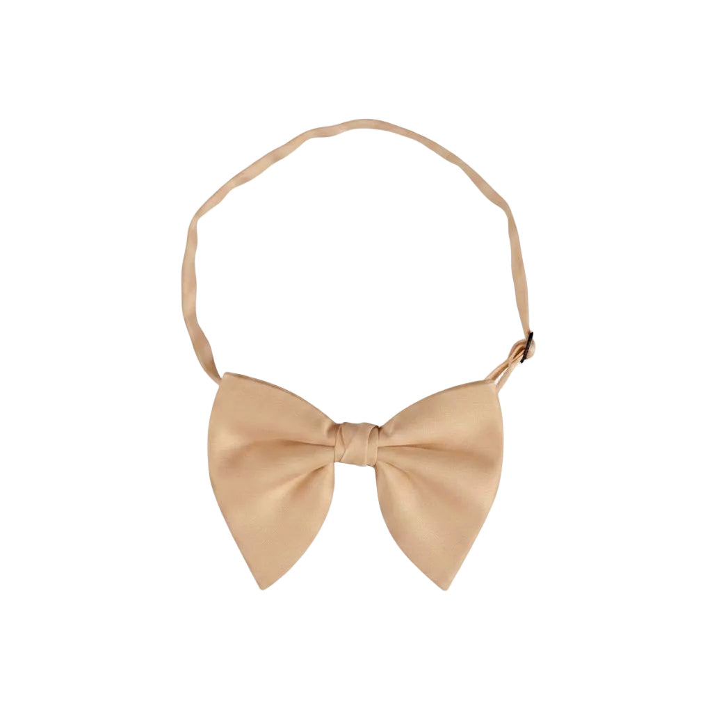 Beige bow tie on a white background