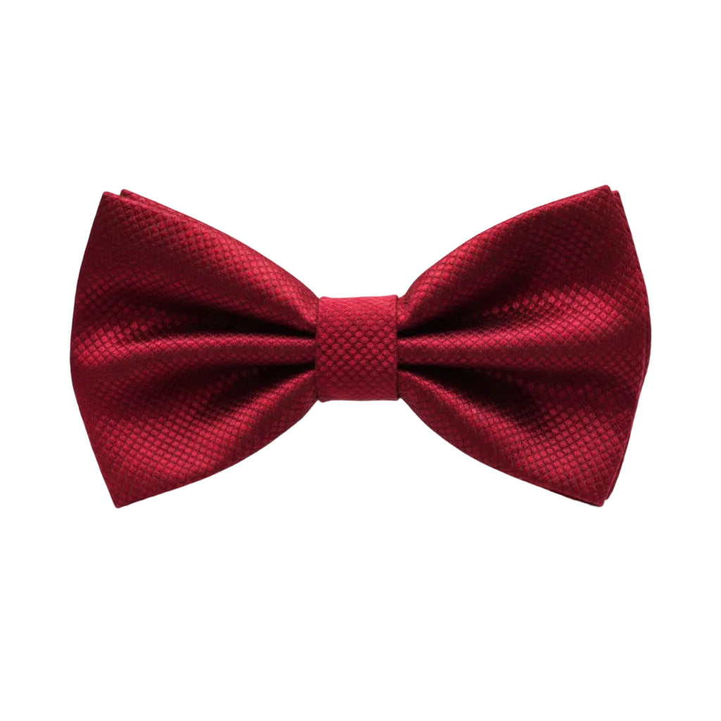 Burgundy Textured Bow Tie