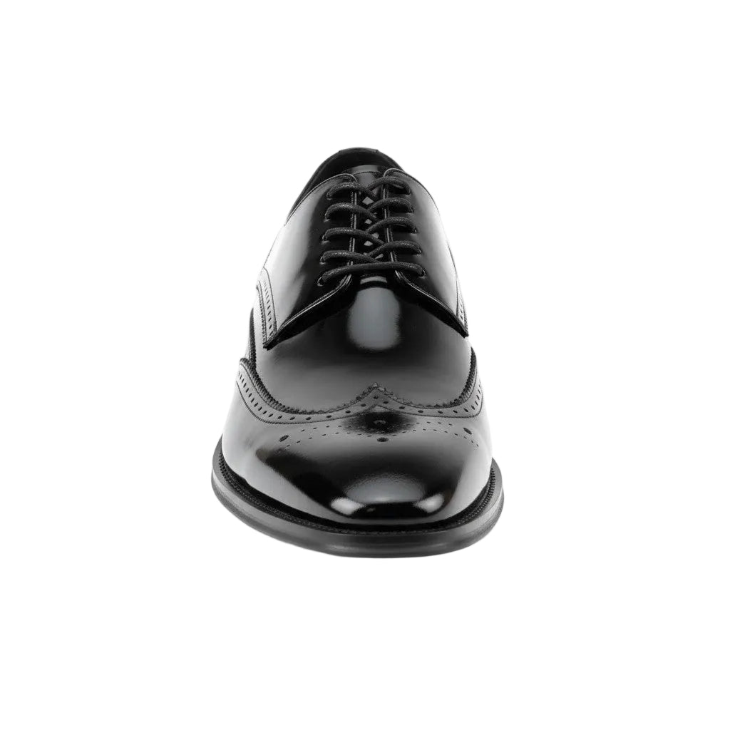 Black dress shoe on a white background