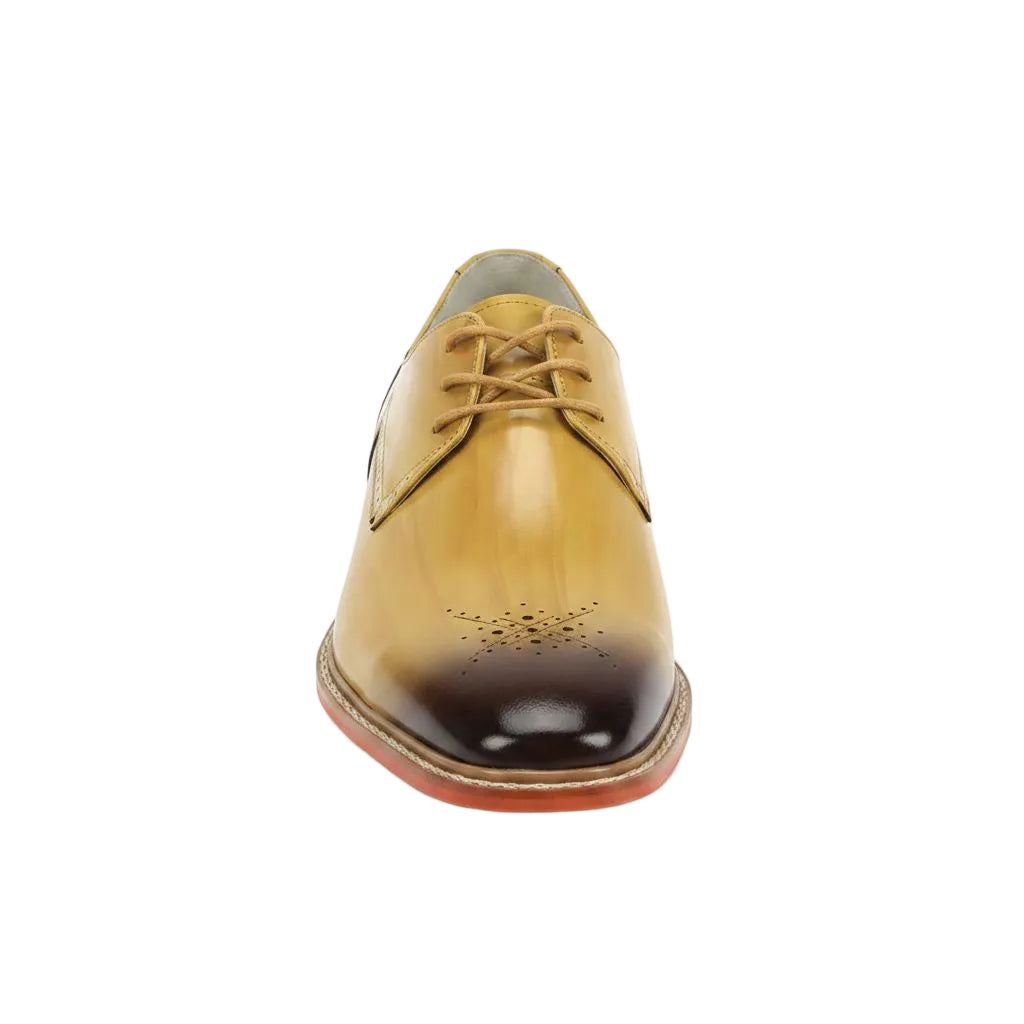 Scotch leather dress shoe on a white background