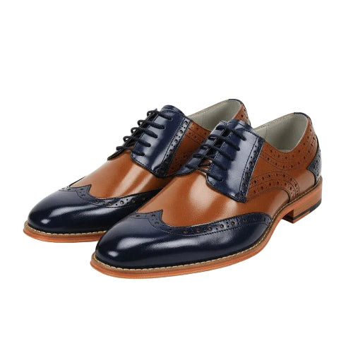 Pair of brown and navy leather dress shoes on a white background