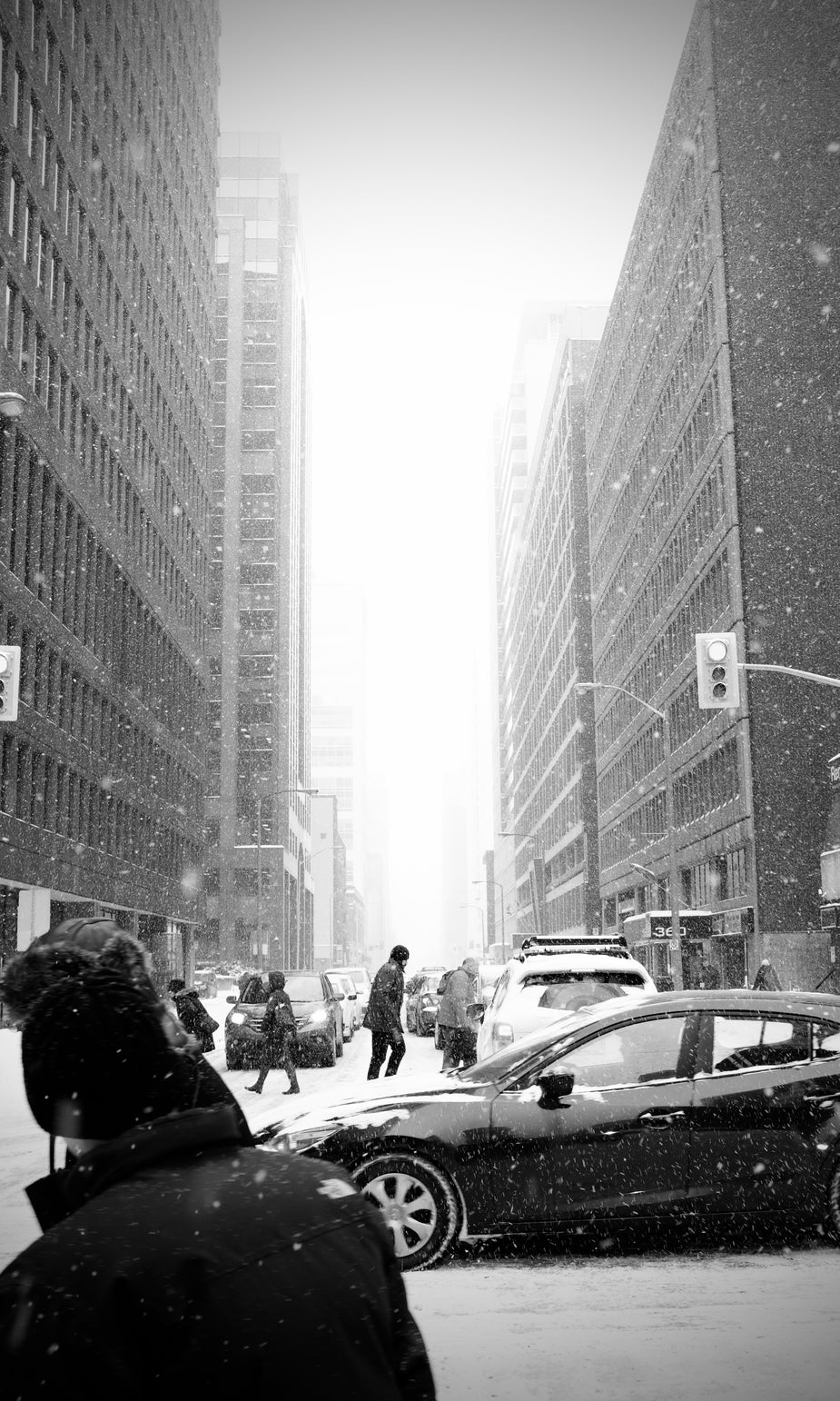winter suit