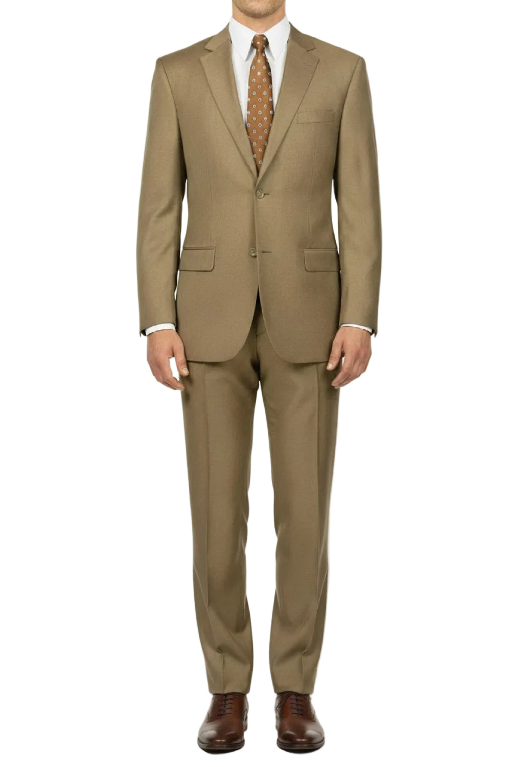 Man wearing a taupe suit with a patterned tie on a white background