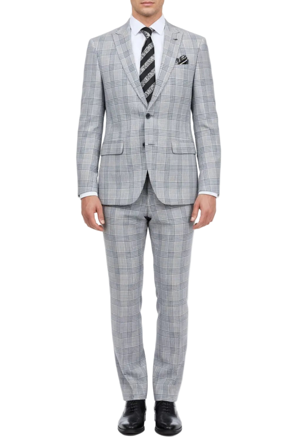 Gray checkered suit with a striped tie on a white background