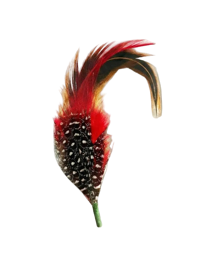 Colorful feather accessory on a beige background