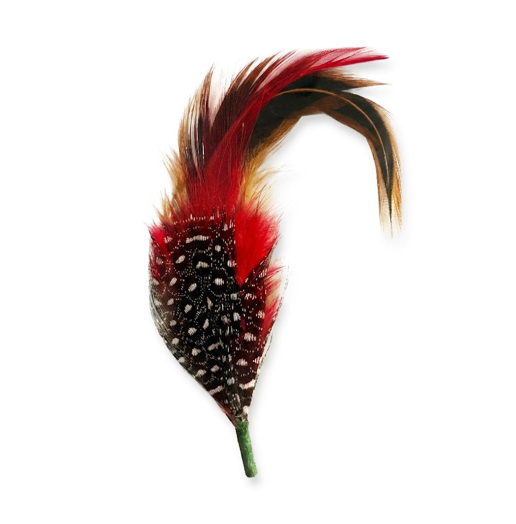 Feather decorative item with red, black, and brown colors on a white background
