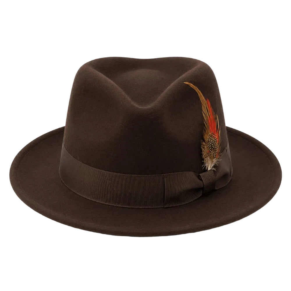 A dark brown felt fedora hat with a matching ribbon band and a decorative feather accent on the side, shown against a plain white background.