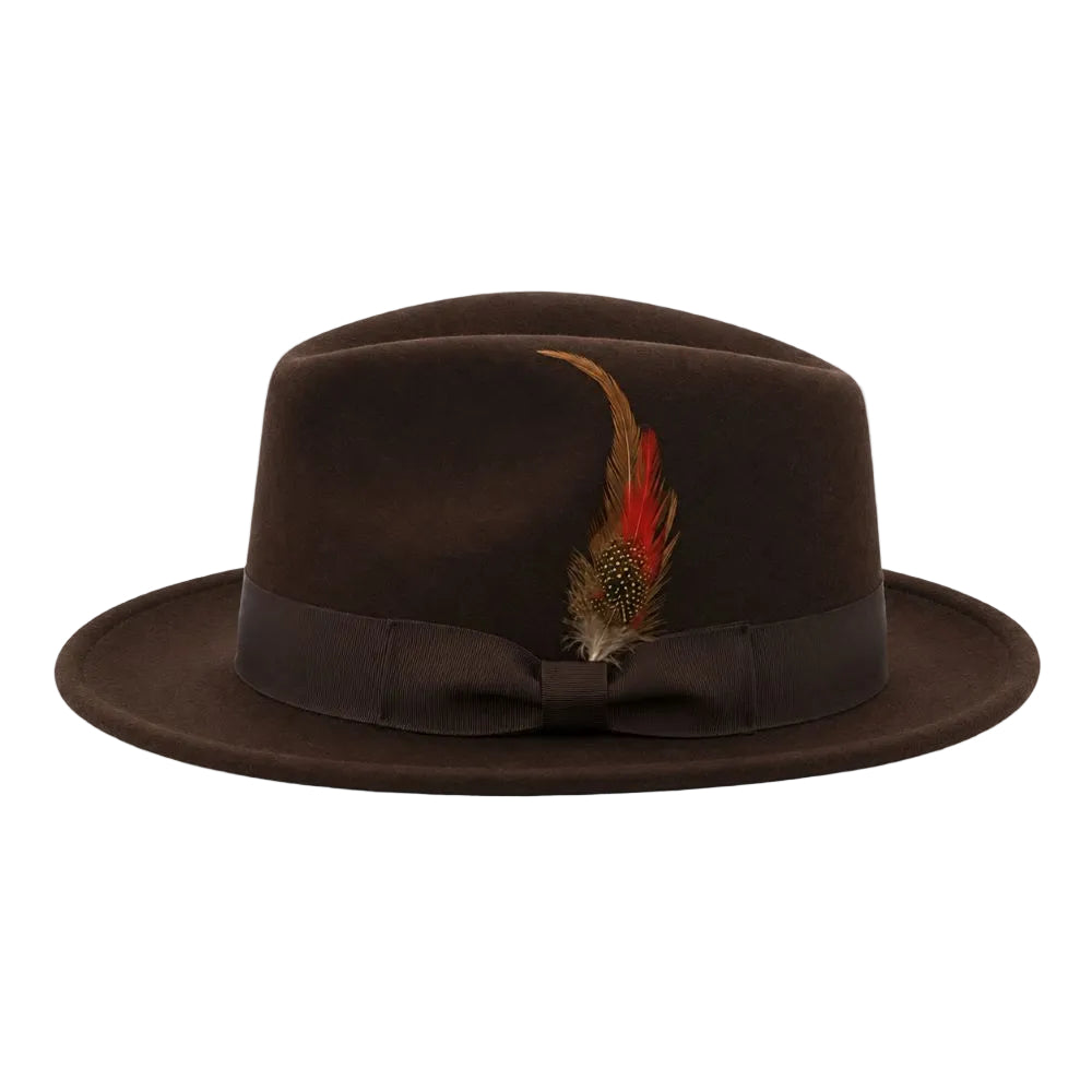 A dark brown felt fedora hat with a matching dark brown ribbon band and bow, decorated with a decorative feather featuring red, brown, and black details, set against a plain white background.