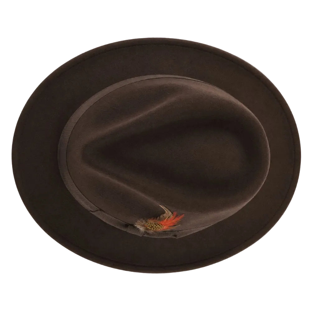 A dark brown felt fedora hat with a small decorative feather accent on the side, photographed from a top-down view against a plain white background.
