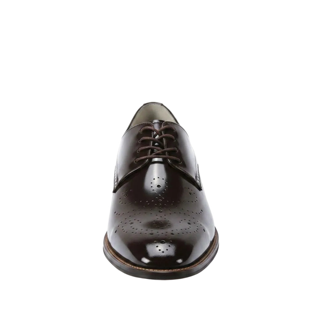 Dark brown leather dress shoe on a white background