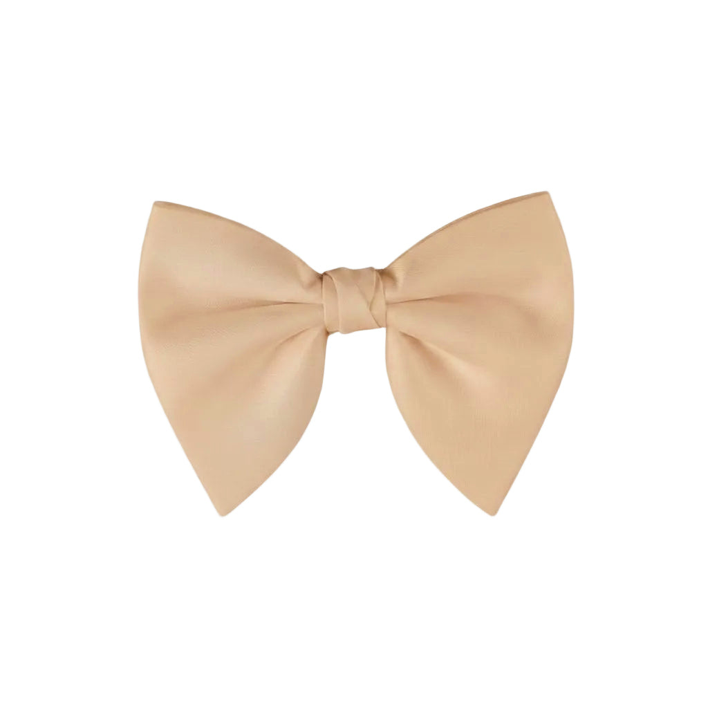 Gray bow tie on a white background