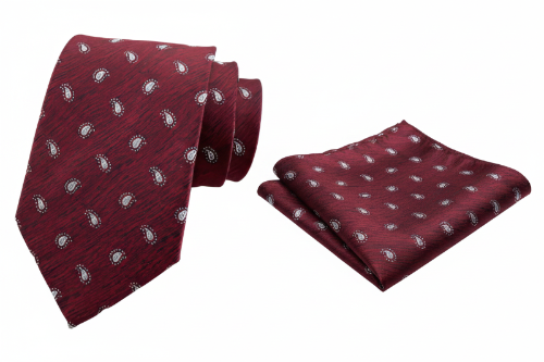 Burgundy Paisley Textured Design Tie and Pocket Square Set