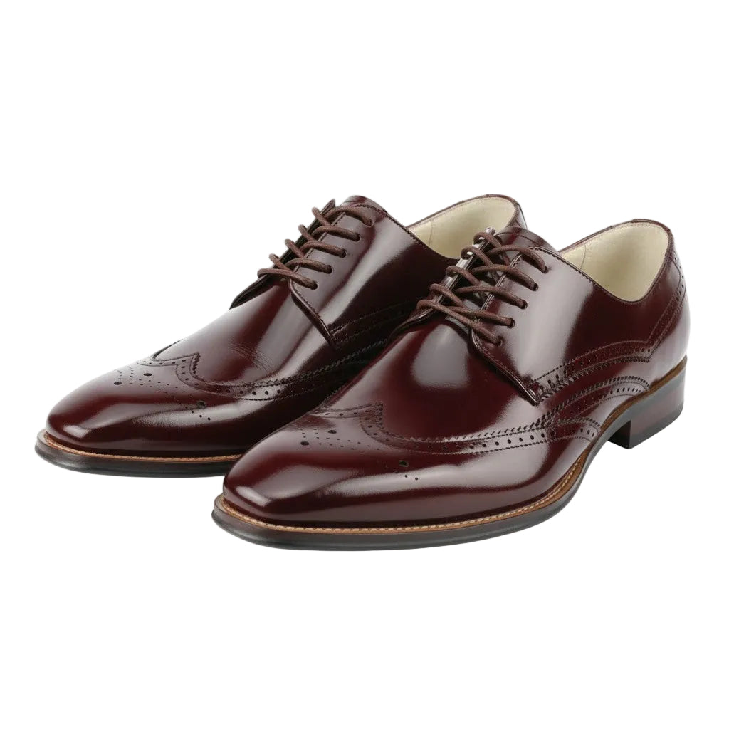 Pair of burgundy dress shoes on a white background