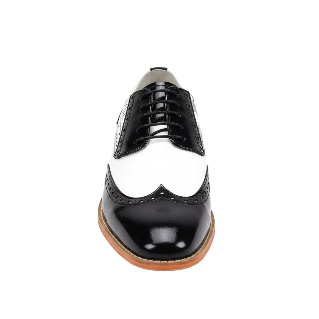 Black and white dress shoe on a white background