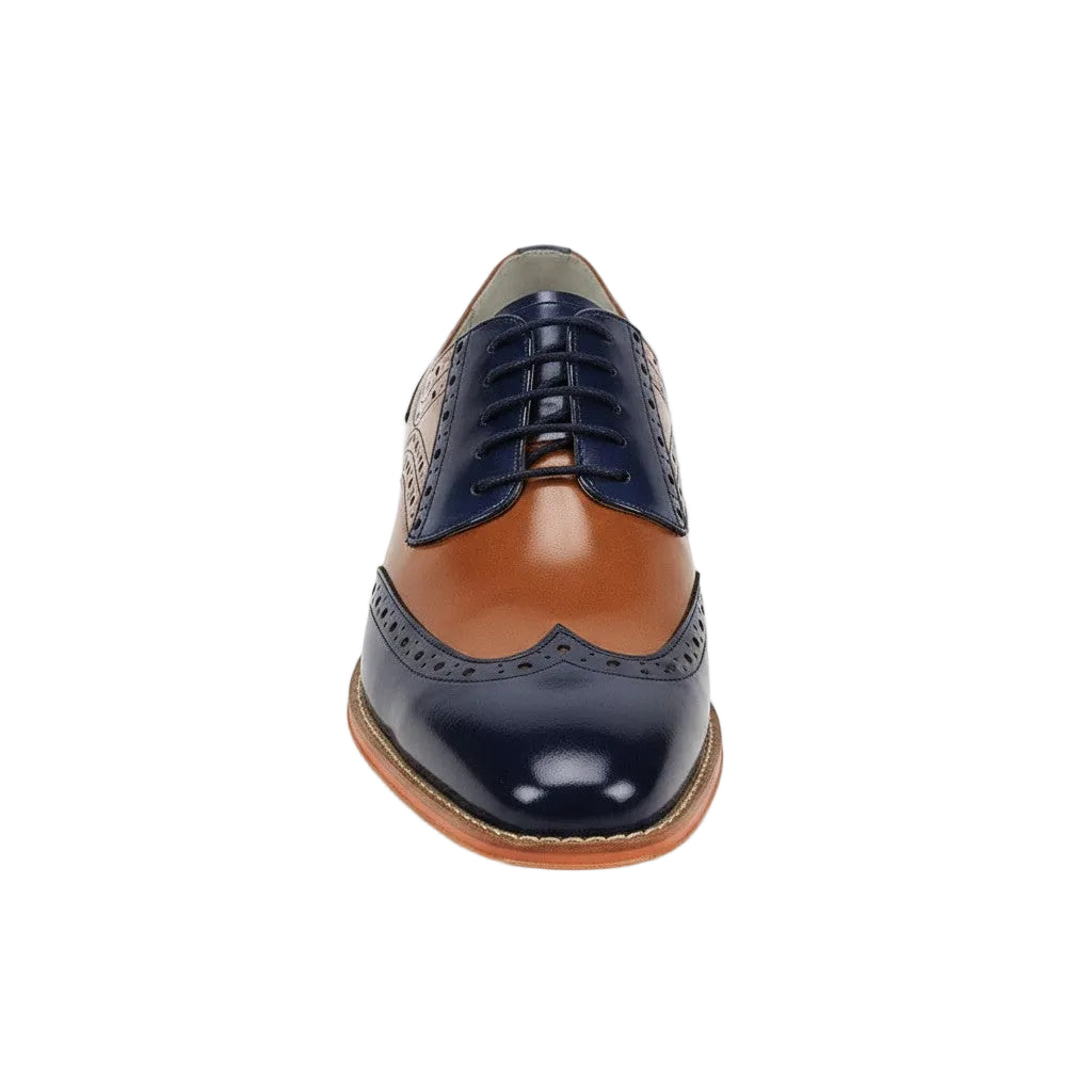 Two-tone leather shoe with navy and brown colors on a white background
