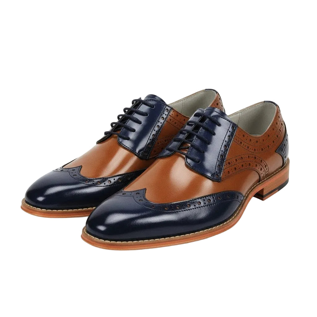 Pair of brown and navy leather dress shoes on a white background
