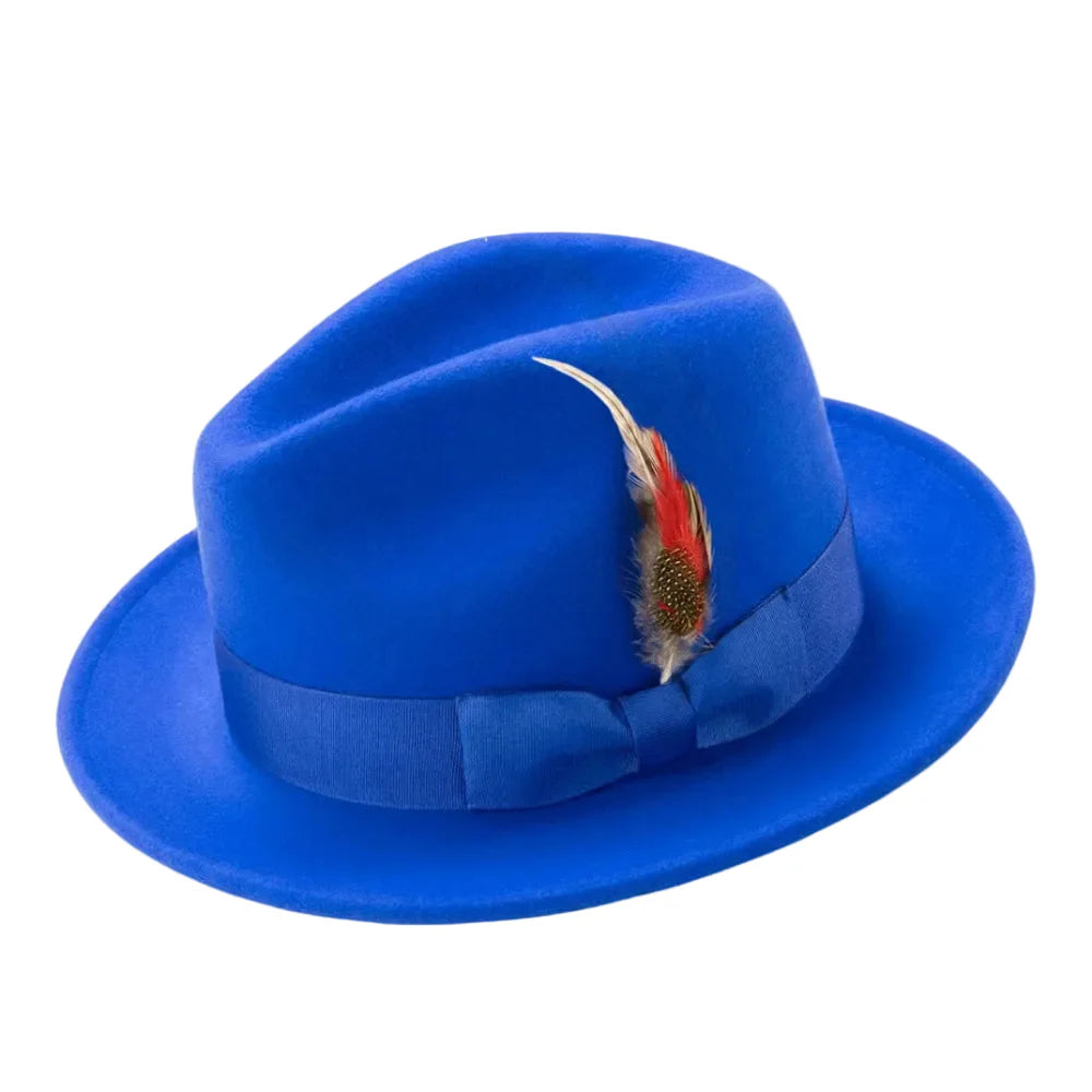 Blue fedora hat with a feather on a white background