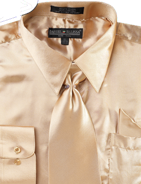 Satin Dress Shirt Regular Fit in Taupe With Tie And Pocket Square